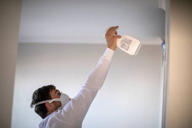Best Fast Mold Removal  in Jackson, MO