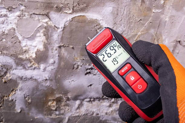 Best Residential Mold Removal  in Jackson, MO